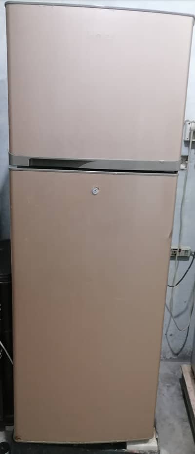 Hair Refrigerators, 1 year old, Refrigerators & Freezers
