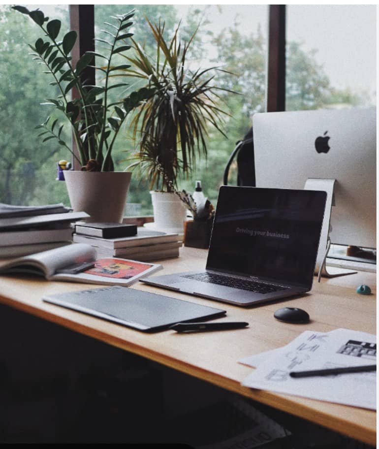 Need Web Developer for Project (WordPress/Shopify) 0