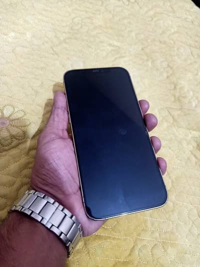 Apple iPhone 12 Pro Max