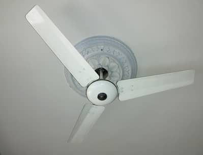 Royal Ceiling fan  56 " for sale