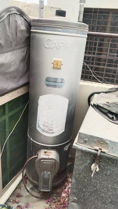 capri geyser for sale
