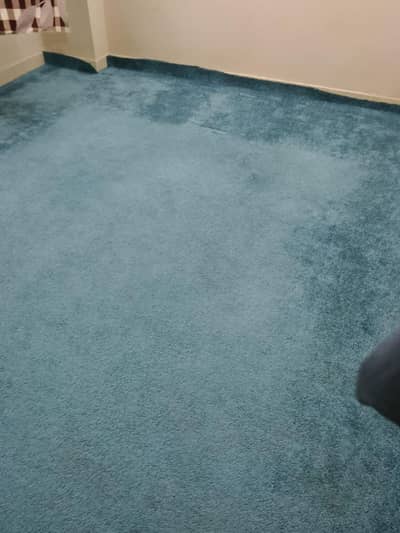 Turquoise Color Carpet Very good Condition
