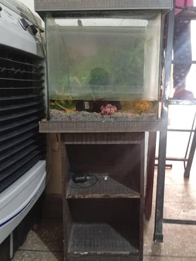 fish aquarium for sale