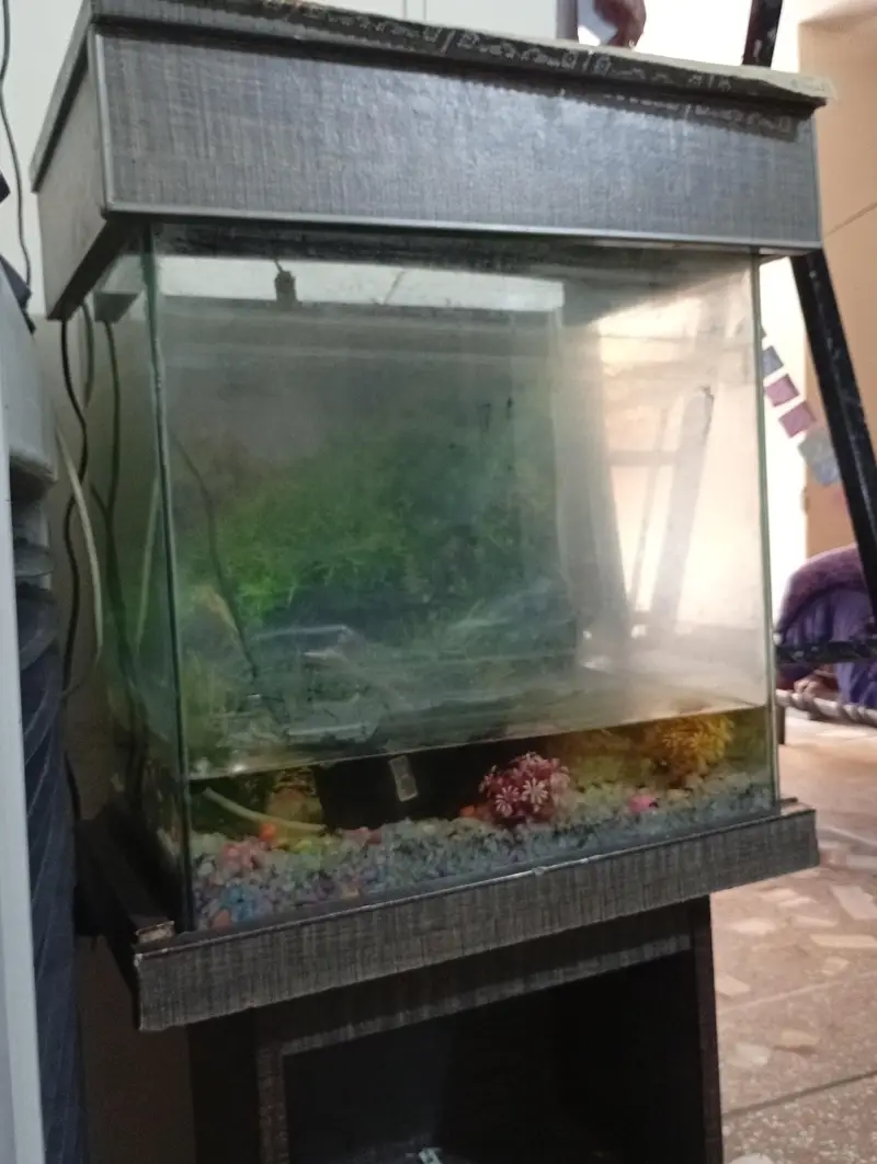 fish aquarium for sale — photo 2