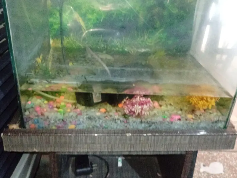 fish aquarium for sale — photo 3