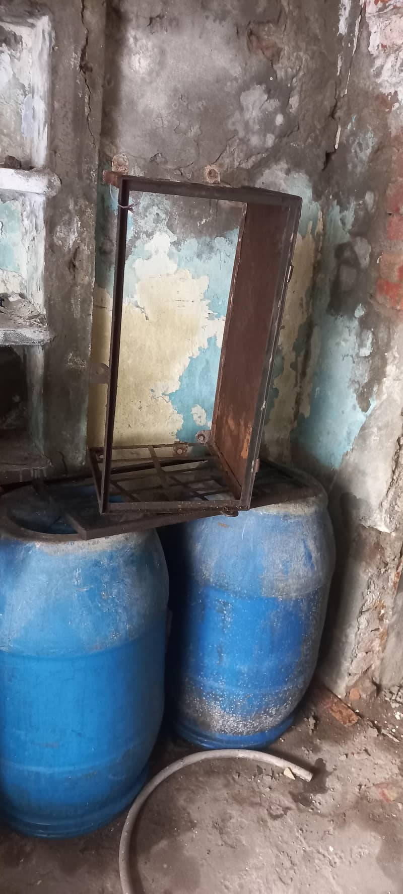 jangla 1