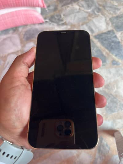 Apple iPhone 12 Pro Max