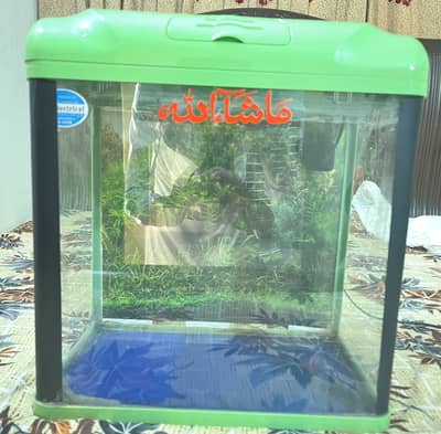 Fish Aquarium with LED Light & Filter – 9/10 Condition  (بہترین)