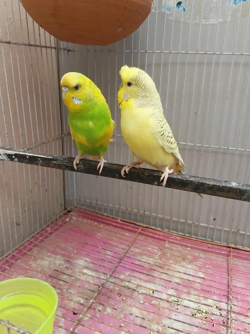 what aap namber (0328+4749422) — photo 3