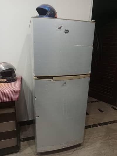 Pel medium size
