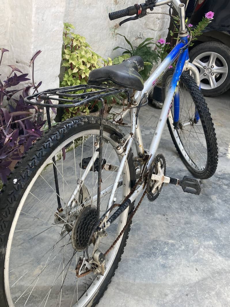 Cycle 0