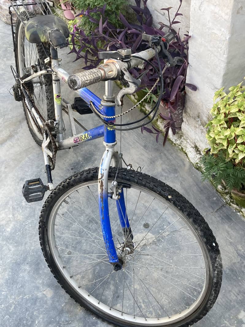 Cycle 1