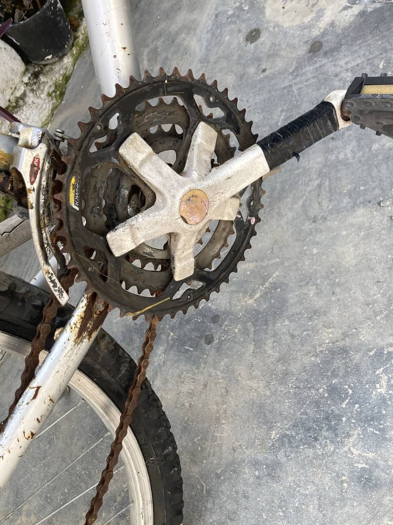 Cycle 4