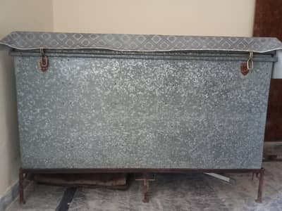 patti,trunk
