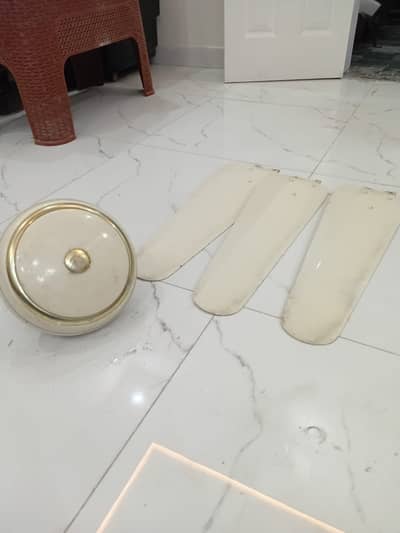 Celling Fans