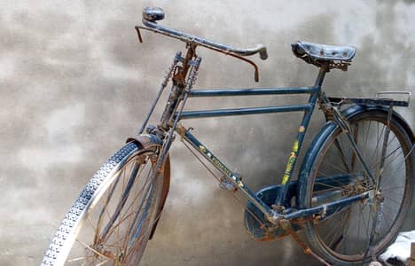 Phoenix Sohrab bicycle