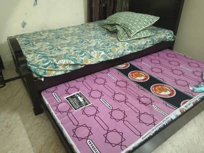 Wooden Single Bed with Pull-Out Trundle Bed + 2 Mattresses