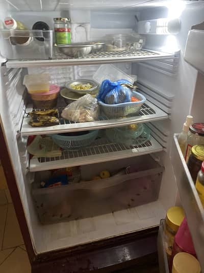 Refrigerator for sale