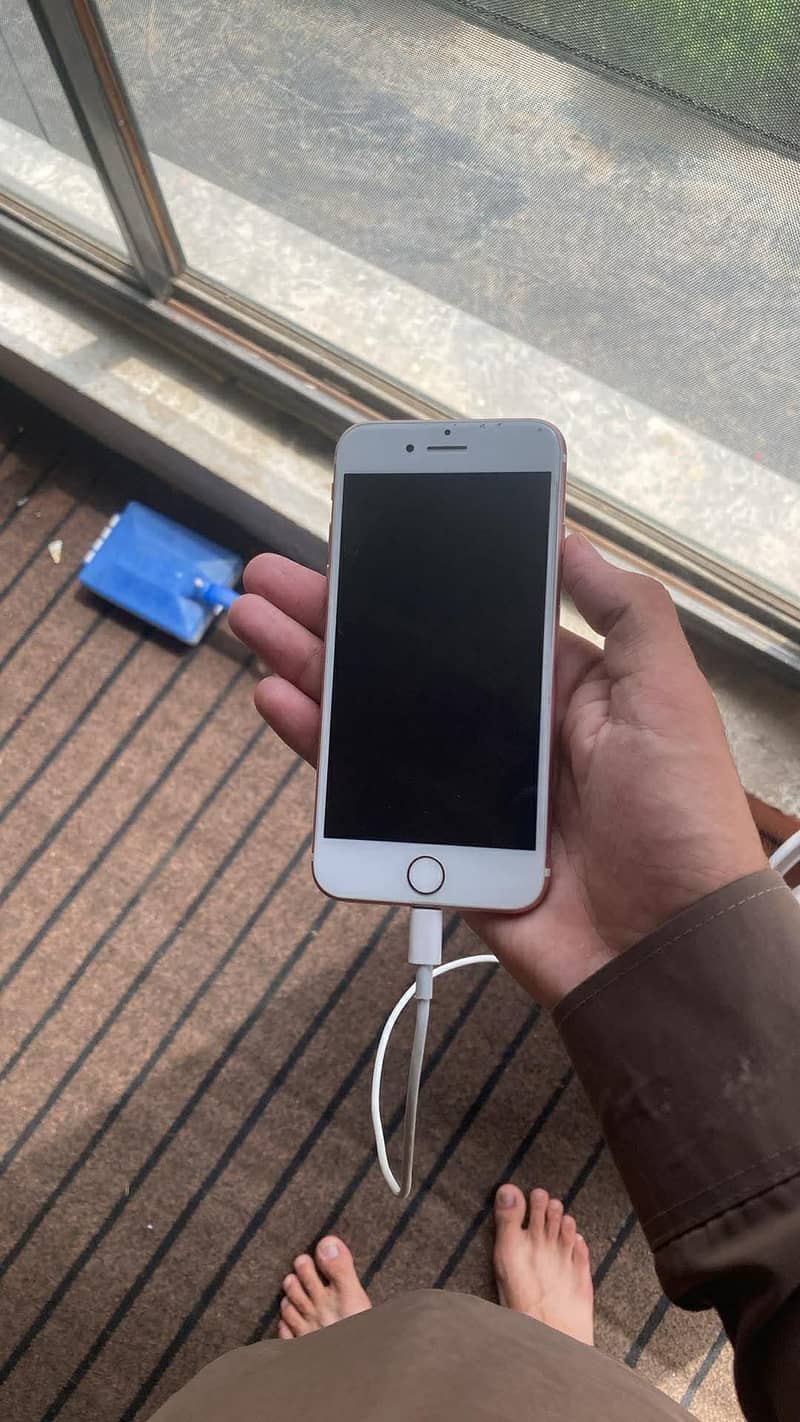 Apple iPhone 7 1
