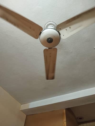 Pak fan 01