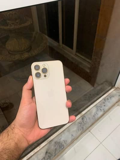 Apple iPhone 13 Pro Max