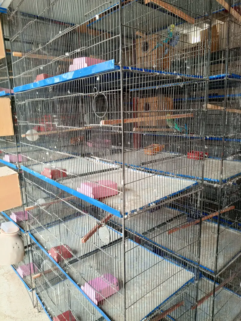 emergency sale more detail contact us 03366461324 — photo 2