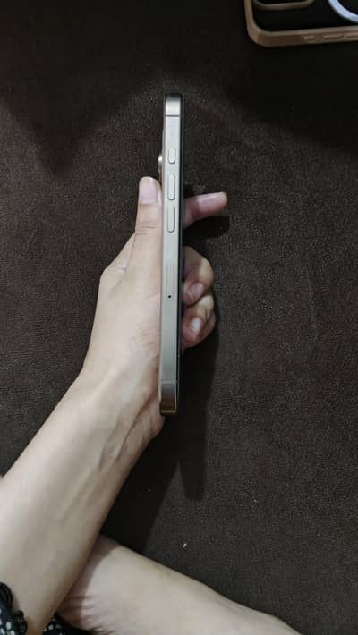Apple iPhone 16 Pro