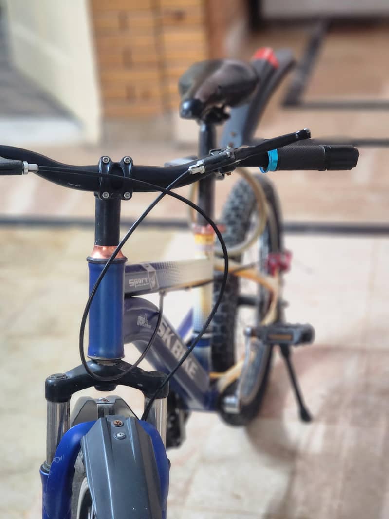 SK  Cycle 1
