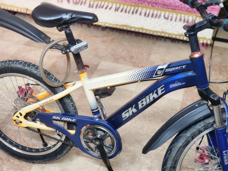 SK  Cycle 2