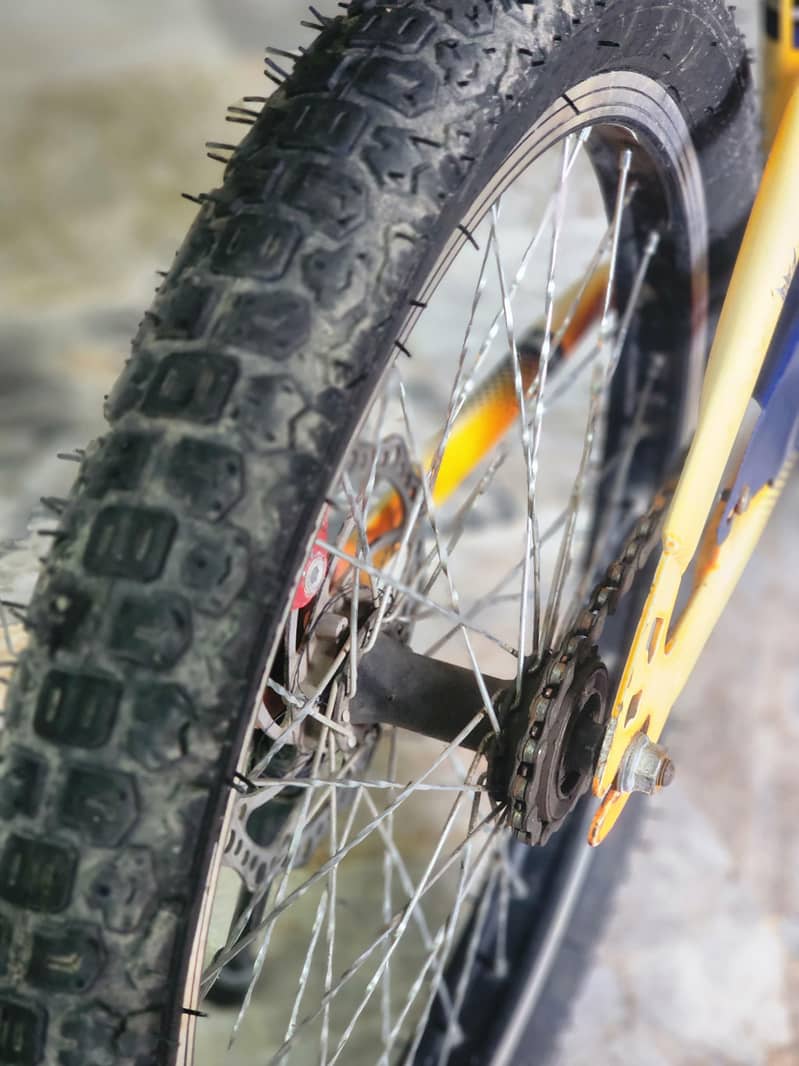 SK  Cycle 3
