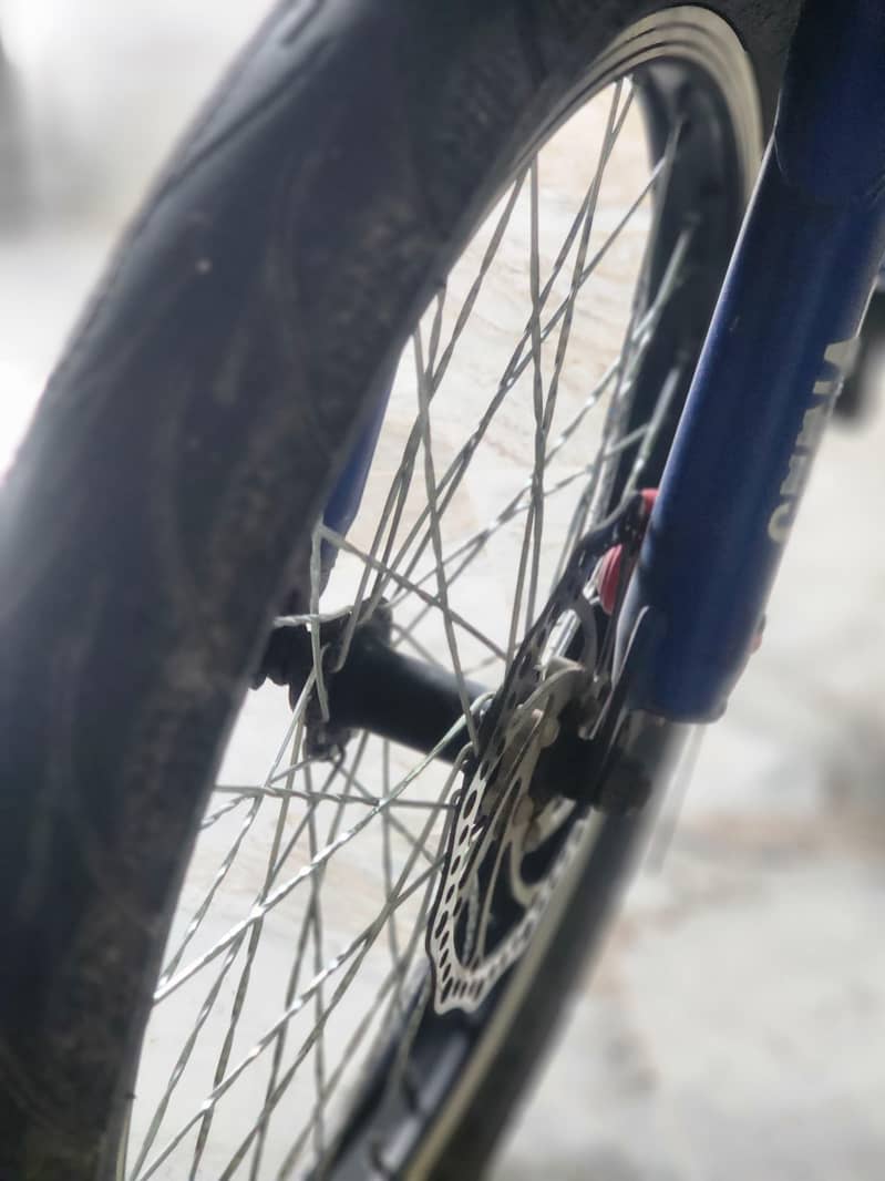 SK  Cycle 4