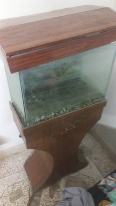 Fish Aquarium complete set