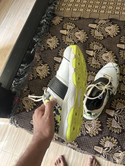 Spikes shoes for fast bowlers