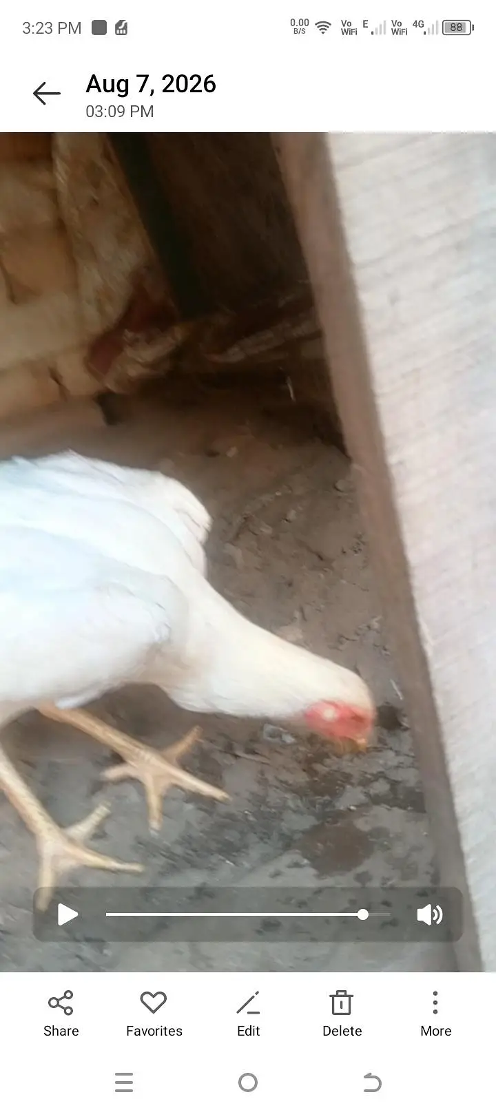 yr aik peace hi rh gya ha — photo 2