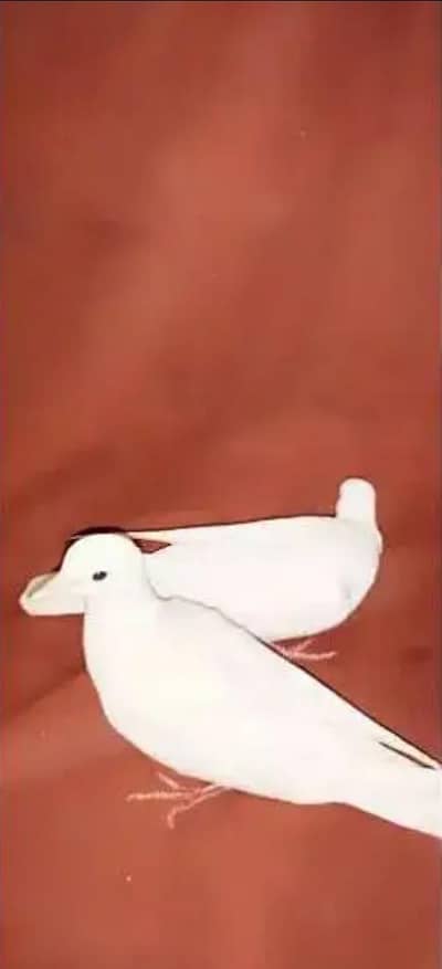 khamray ki jori