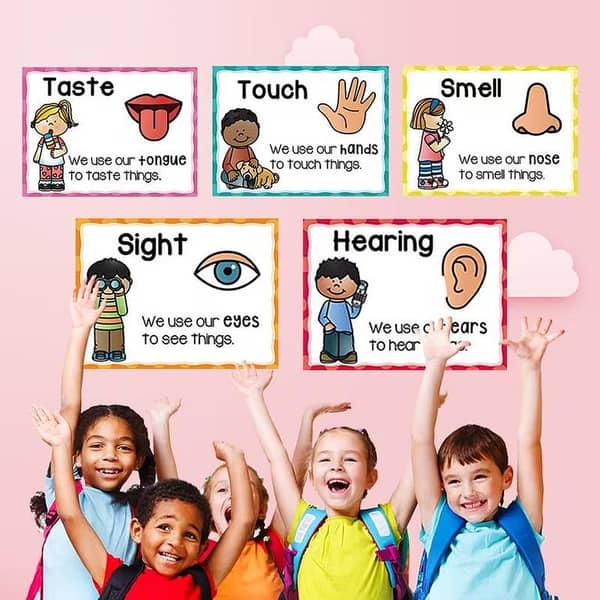 Educational Five Senses Posters for Kids – 5-Piece Set, A4, Waterproof Coated Paper
