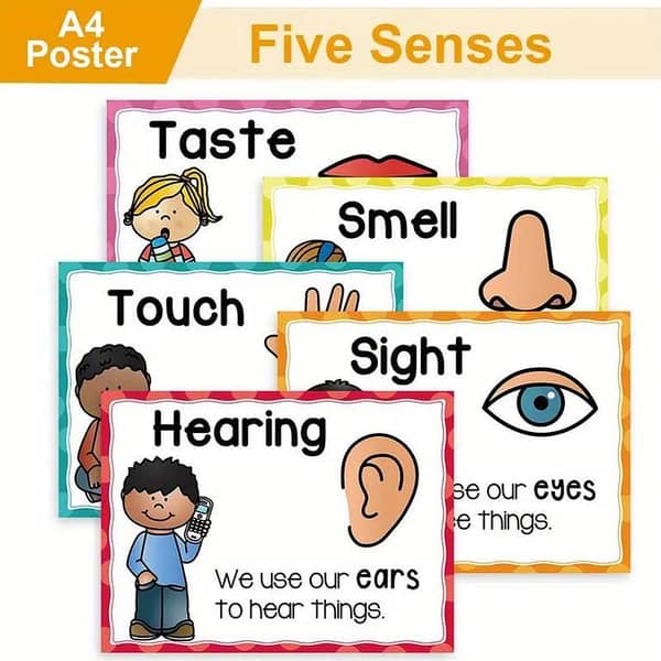 5-Piece Bundle: Five Senses Flashcards and Educational Posters for Classroom and Home Learning
