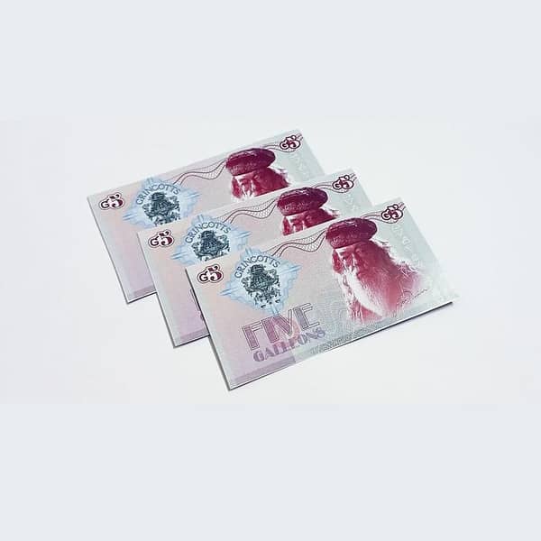 Harry Potter 5 Galleons Banknotes Collectible Gift 3pcs