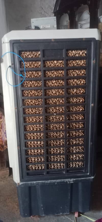 asia ds 12 volt cooler