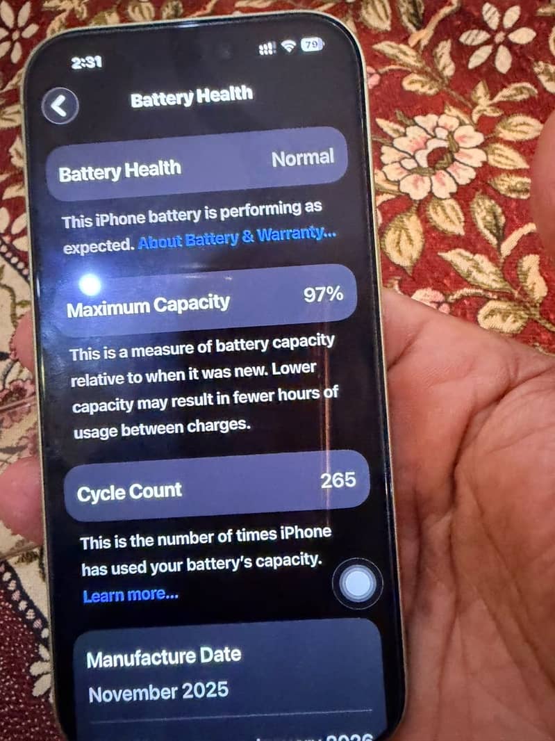 Apple iPhone 17 1