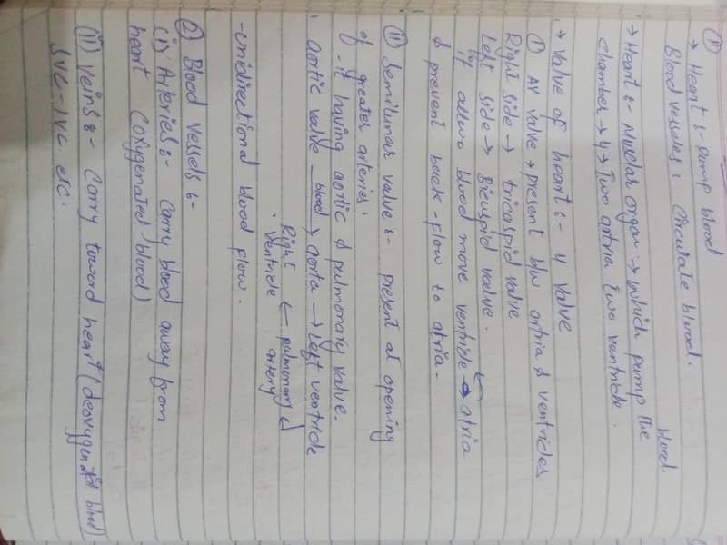 Assignment writing 2