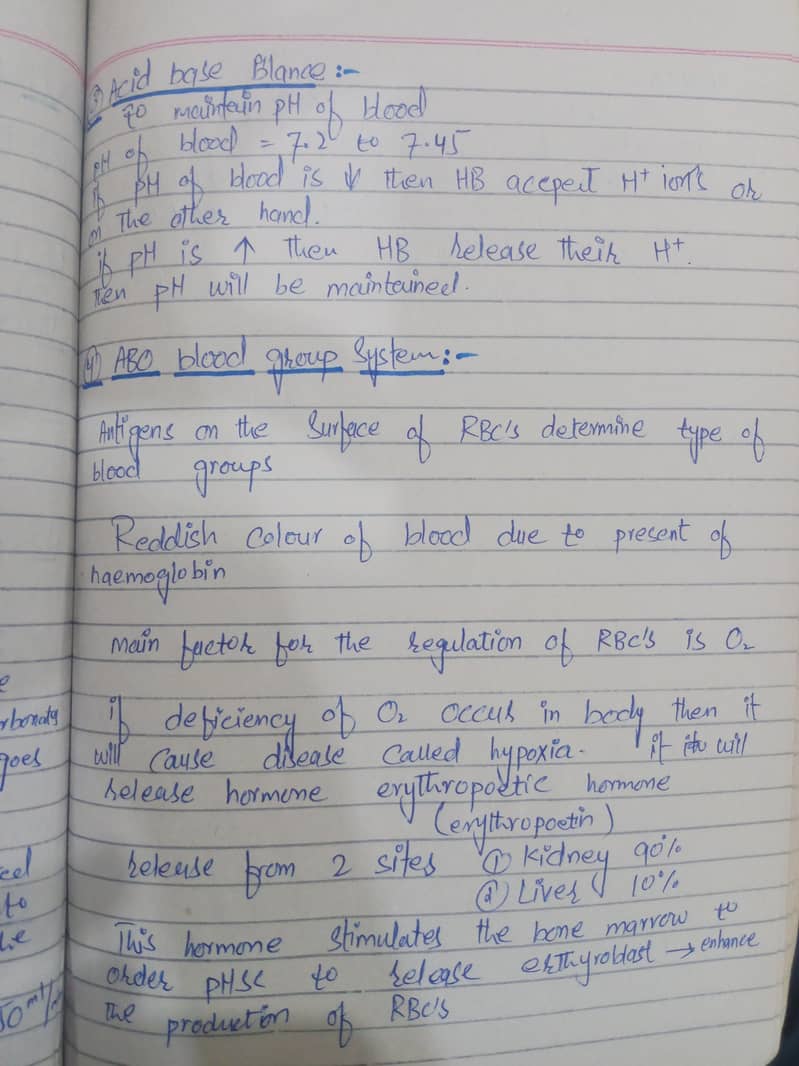 Assignment writing 3