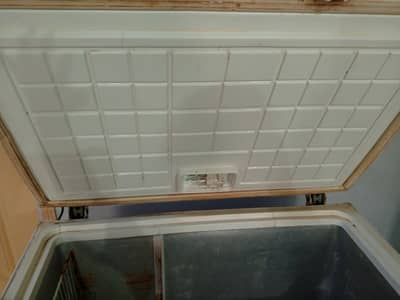 waves single door freezer