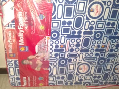 molty foam oregnol 78 ×42   5 inch