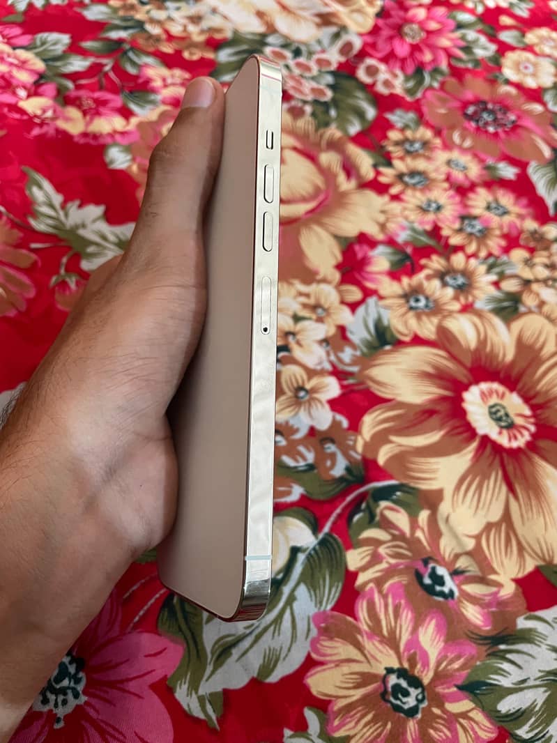 Iphone 13 pro max 1