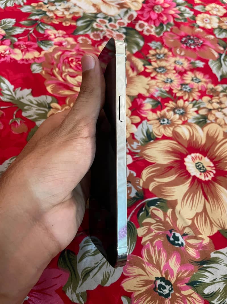 Iphone 13 pro max 3