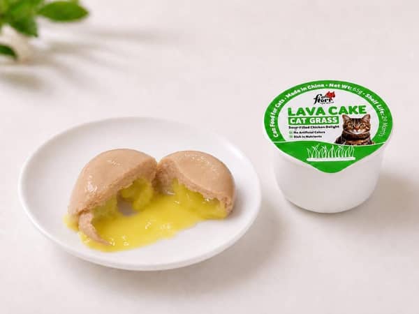 Flori Pet Lava Cake Wet Cat Food 65g - Soup-Filled Chicken Delight in 7 Irresistible Flavors
