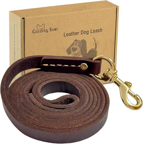 Guiding Star Leather Dog Leash (Heavy Duty)