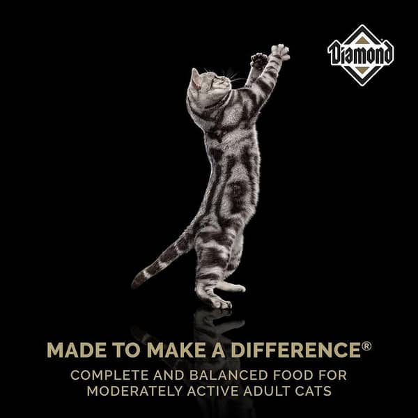Diamond Maintenance Cat Food