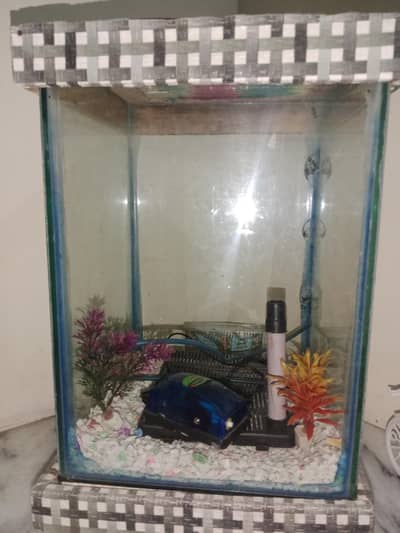 Beautiful Fish Aquarium 1.5 x 1 feet